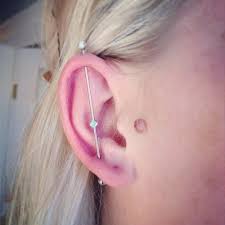 Pin On Anatometal Fan Photos