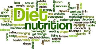 Silpac I Will Provide Personal Nutrition Guide Diet Plan Diet Chart For 5 On Www Fiverr Com