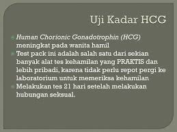 Namun ingatlah untuk mengonsumsi obat ini sesuai aturan. Pemeriksaan Diagnostik Dalam Masa Kehamilan Ppt Download