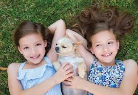 1.5k likes · 1 talking about this. Twins Can Their Destinies Be Different Wofs Com