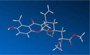 Image result for Bothriocline inyangana