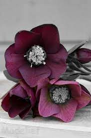 The dark colors are nice and the simplicity and not too much fluff of greenery. Plum Color Burgundy Red Wine Plum Color Burgundy Decor