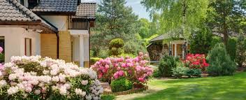 South Texas Landscaping Plants Pool And Landscape You may not have a lot of money to spend on landscape, but you.