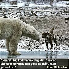 Kisiselgelisim Farkindalik Cekimyasasi Bilincalti Guzelsozler Sozler Yasam Cekim Yasasi Kisisel Gelisim Edebiyat
