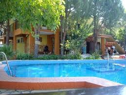 Turecko je štátom, ktorý ponúka hneď niekoľko zaujímavostí. Turecko Selcuk Efez Picture Of Selcuk Izmir Province Tripadvisor