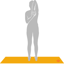 What Is Tadasana Gomukhasana Definition From Yogapedia