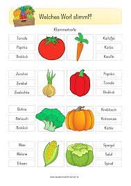 klammerkarte gemuse unterrichtsmaterial in den fachern deutsch sachunterricht unterrichtsmaterial sachunterricht grundschule sachen