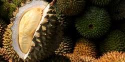 Kalau bab makan netizen laju je share ye. Ini Orang Orang Yang Pantang Mengonsumsi Buah Durian Merdeka Com