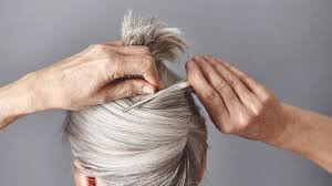 Of course they do play a major role in hair greying but there are some natural. Going Gray 15 Facts About Why How Genetics And Hair Care