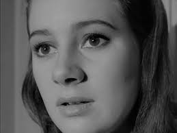 The Human Jungle" Wild Goose Chase (TV Episode 1964)