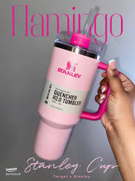 Discover the New Flamingo Stanley Cup at Target!