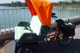 Image result for рикша