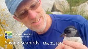 Saving Seabirds