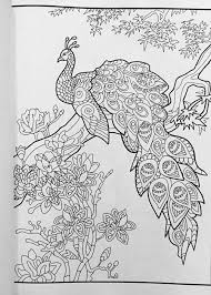 Download Amazon Com Creative Animals Coloring Book For Adults 9781530314713 Juliana Animal Coloring Books Animal Coloring Pages Bird Coloring Pages