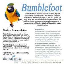 Pin On Yleo For Pets