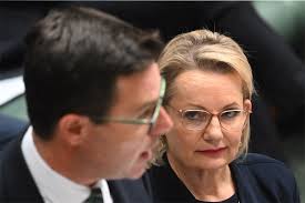 Old codger dares to take