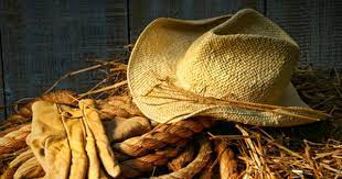 Gloves And Straw Hat Wallpaper Distorting The Meaning Of Equivalence And Moderate Straw Hat Hats Canvas Prints