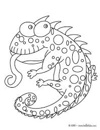 Chameleon Coloring Pages Funny Chameleon Snake Coloring Pages Coloring Pages Animal Coloring Pages