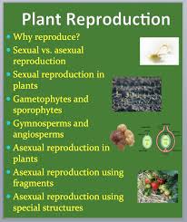 Plant Reproduction A Grade 11 And Up Biology Powerpoint Lesson Powerpoint Lesson Biology Lessons Biology