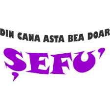 Așadar, este imposibil să nu găsiți cuvintele potrivite de ziua de naștere a. Cani Personalizate Cu Mesaje Haioase