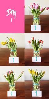 Check spelling or type a new query. We Tried It The Best Way To Keep Flowers Fresh Fresh Flowers Arrangements Flowers How To Preserve Flowers
