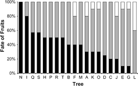 Image result for Anthonotha