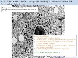 Check spelling or type a new query. 1 2 Ultrastructure Of Cells Ppt Download