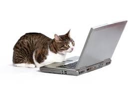 One of our cats was poisoned by a neighbour (we think / are sure of) 18 months ago. The Spay Neuter Center Of New Jersey Pricing