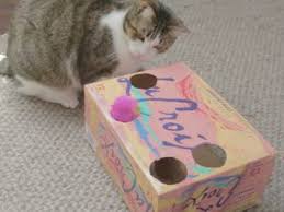 As you're wrapping up your holiday gift making, don't forget your feline friends! The 10 Best Homemade Cat Toys Your Cat Will Love