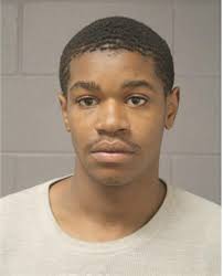 ᐅ Illinois Criminal Records 2009-2025