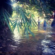 Kabupaten hulu sungai tengah's best free dating site! Hulu Tamu Camping Site