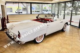 Image result for Snowshoe White 1955 Thunderbird