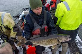 Check spelling or type a new query. Assessing Colorado S Walleye Colorado Outdoors Online