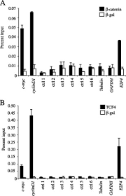 An Antisense Transcript Induced By Wnt B Catenin Signaling Decreases E2f4 Journal Of Biological Chemistry