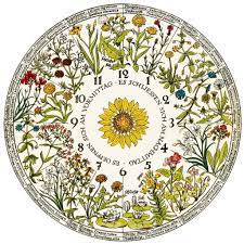 Как нарисовать цветочные часы