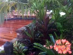 Balinese Garden Design Rozelle Inner West Sydney Landscapers Sydney Balinese Garden Tropical Garden Design Small Tropical Gardens