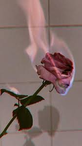 Pin By Metzmetz On Paizagem In 2020 Wallpaper Tumblr Lockscreen Aesthetic Roses Flower Wallpaper