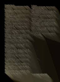 Image result for Cylindropsis parvifolia