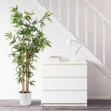 Fejka Artificial Potted Plant Indoor Outdoor Bamboo Height 67 Ikea Artificial Potted Plants Artificial Plants Indoor Artificial Plants Outdoor