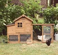 Poulailler 4 poules en bois, avec enclos