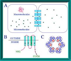 We did not find results for: Frontiers In Bioscience 3 D208 236 February 15 1998