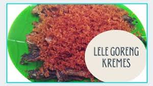 Mulai kare, balado hingga digoreng kering. Resep Lele Goreng Padang Ala Rumah Makan Padang Cute766