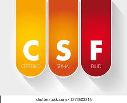 Image result for Cerebrospinal Fluid Color