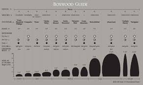 Boxwood Cultivars Ajf Design