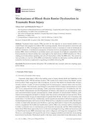 Drei frauen sind die siegerinnen. Pdf Mechanisms Of Blood Brain Barrier Dysfunction In Traumatic Brain Injury