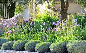 Image104 Png Image Iris Garden Plants Mediterranean Garden
