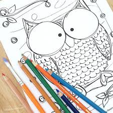 Owls are known for their big eyes, but what would you say if we told you those aren't really eyeballs? Owl Coloring Pages 100 Directions