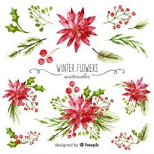 Download Watercolor Winter Flower Collection For Free Winter Flowers Watercolor Xmas Cards