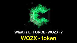 Nairax is wholly owned by nirx block payment systems, with backing and. What Is Efforce Wozx What Is Wozx Token