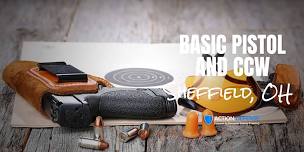 Basic Pistol | Multi-State CCW